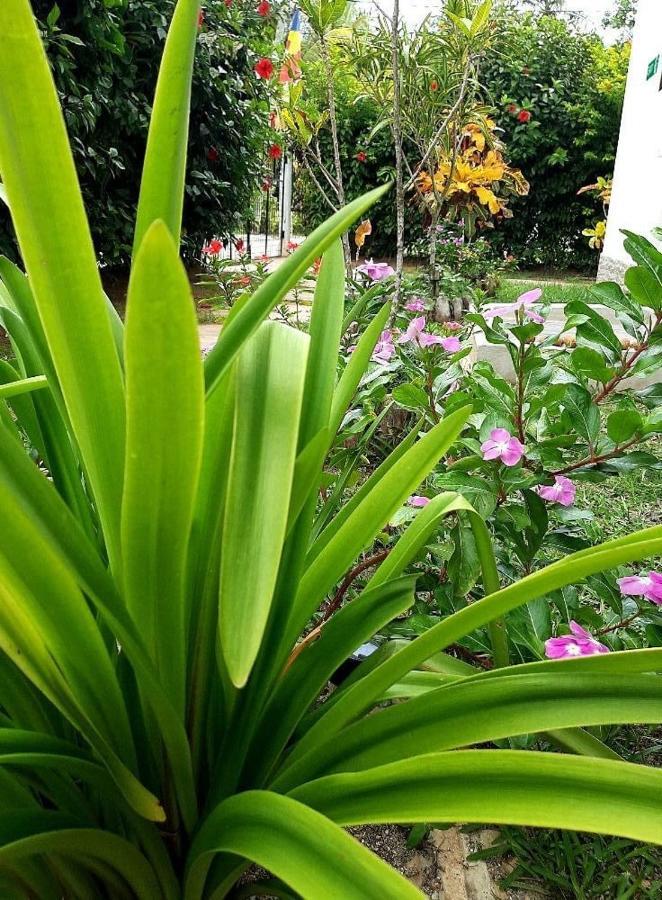 Hotel La Source Self Catering Insel Insel La Digue Exterior foto